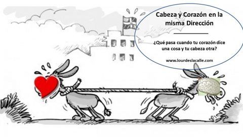Cabeza y Corazón en la misma Dirección